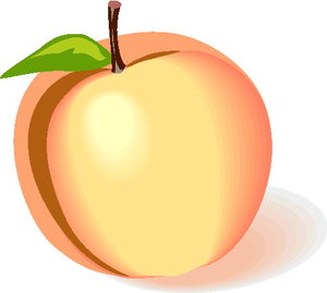 Cliparts Fruit Perzikken 