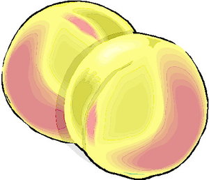 Cliparts Fruit Perzikken 