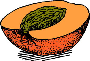 Cliparts Fruit Perzikken 