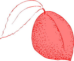 Cliparts Fruit Perzikken 