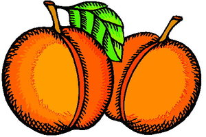 Cliparts Fruit Perzikken 