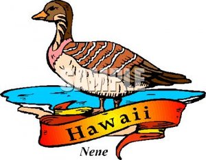 Cliparts Geografie Hawaii 