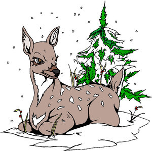 Cliparts Kerstmis Kerst dieren 