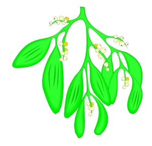 Cliparts Kerstmis Kerst mistletoe 