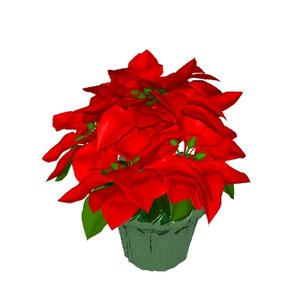 Cliparts Kerstmis Kerst planten 