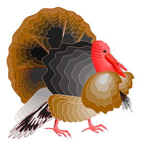 Cliparts Speciale dagen Thanksgiving 