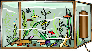 Cliparts Vissen Aquariums 