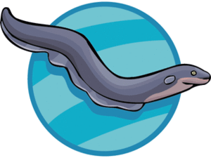 Cliparts Vissen Paling 