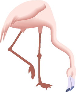 Cliparts Vogels Flamingo 