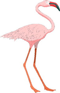 Cliparts Vogels Flamingo 