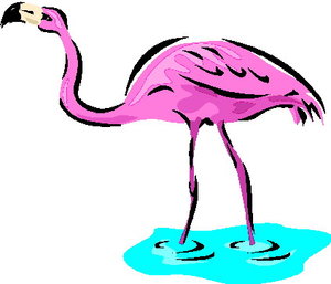 Cliparts Vogels Flamingo 