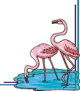 Cliparts Vogels Flamingo 