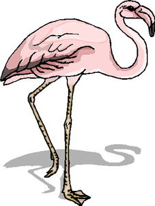 Cliparts Vogels Flamingo 