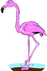 Cliparts Vogels Flamingo 