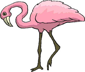 Cliparts Vogels Flamingo 