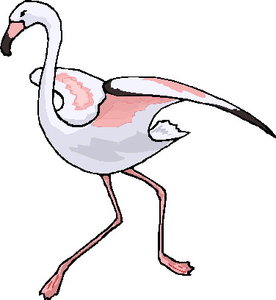 Cliparts Vogels Flamingo 