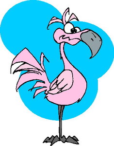 Cliparts Vogels Flamingo Flamingo