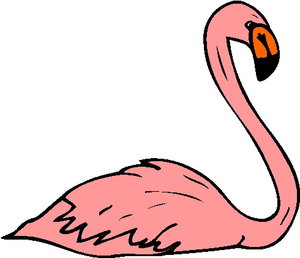 Cliparts Vogels Flamingo 