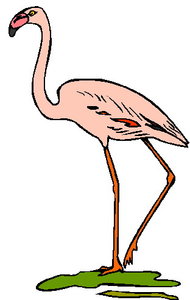 Cliparts Vogels Flamingo 