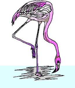 Cliparts Vogels Flamingo 