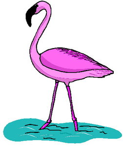 Cliparts Vogels Flamingo 