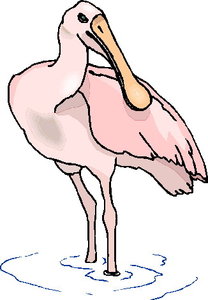 Cliparts Vogels Flamingo 