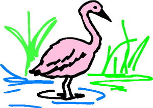 Cliparts Vogels Flamingo 