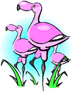 Cliparts Vogels Flamingo 