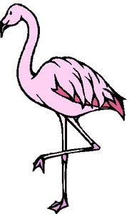 Cliparts Vogels Flamingo 