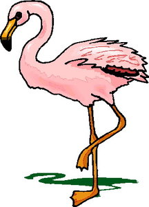 Cliparts Vogels Flamingo 