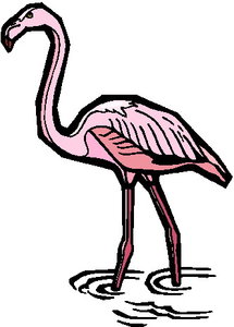 Cliparts Vogels Flamingo 