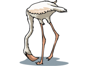 Cliparts Vogels Flamingo 