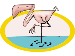 Cliparts Vogels Flamingo 