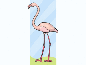 Cliparts Vogels Flamingo 