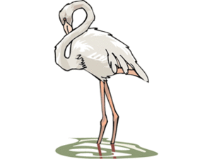 Cliparts Vogels Flamingo 