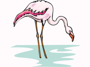 Cliparts Vogels Flamingo 