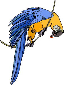 Cliparts Vogels Papegaaien 