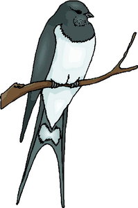 Cliparts Vogels Zwaluwen 