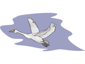Cliparts Vogels Zwanen 