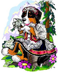 Dieren Dieren plaatjes Berner sennenhonden 