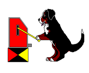 Dieren Dieren plaatjes Berner sennenhonden 