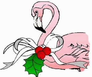 Dieren Flamingo Dieren plaatjes 