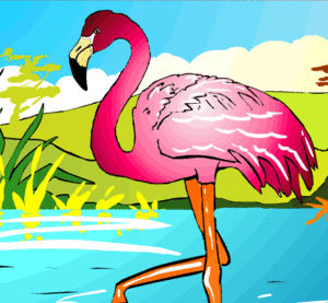 Dieren Flamingo Dieren plaatjes 