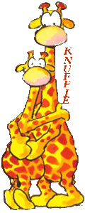 Dieren Giraffe Dieren plaatjes 