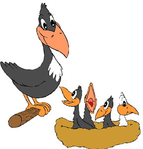 Dieren Kraaien Dieren plaatjes 