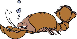 Dieren Dieren plaatjes Kreeften 