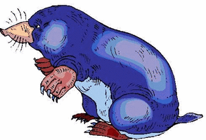Dieren Mollen Dieren plaatjes 