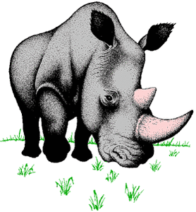 Dieren Neushoorn Dieren plaatjes 