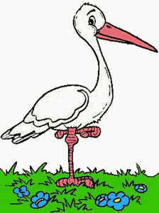Dieren Ooievaar Dieren plaatjes 