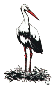 Dieren Ooievaar Dieren plaatjes 